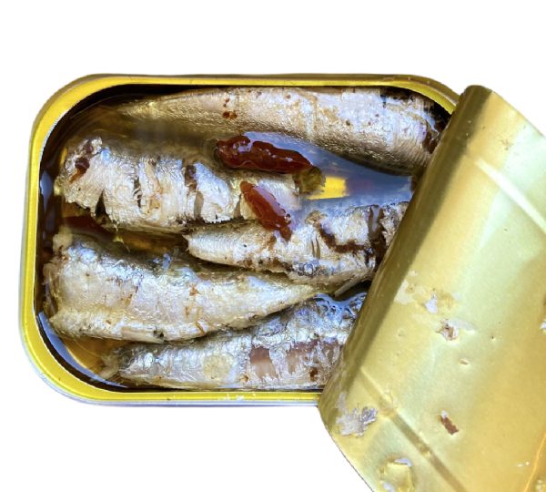 Sardine (3) - Image 2