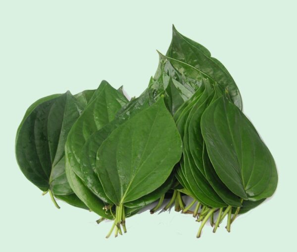 Bitterleaf