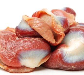 Chicken Gizzard