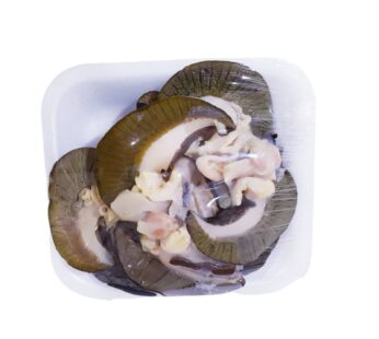 Frozen snail