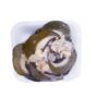 Frozen snail
