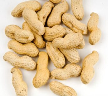 Peanut