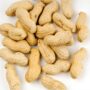 Peanut