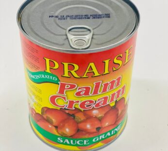 Praise Palmcream 800g